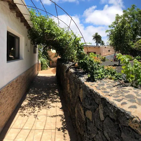 Apartamento Palmera Y Dátil Haría